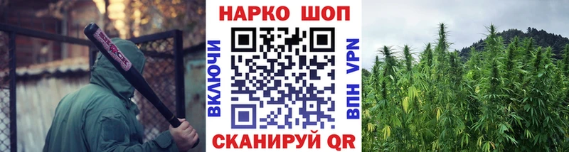 Галлюциногенные грибы Зубцов