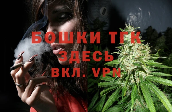 не бодяженный Снежногорск