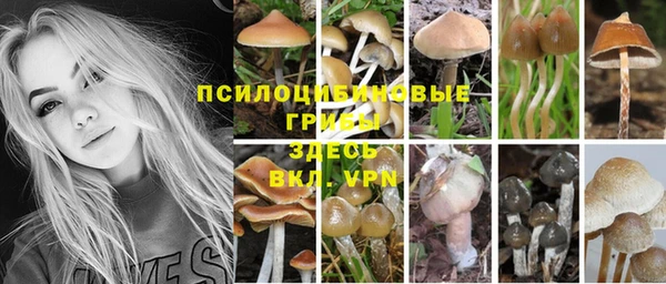 винт Аркадак