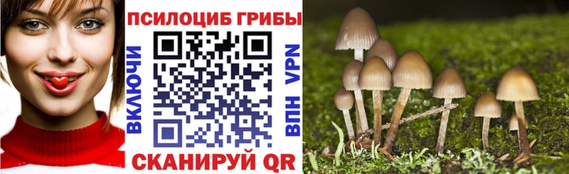 kraken ссылки  Зубцов  Псилоцибиновые грибы прущие грибы 